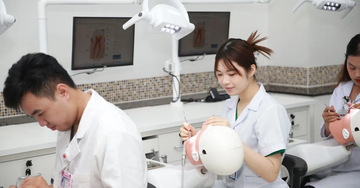 Des étudiants en dentisterie pratiquent des procédures sur des modèles de formation dans une salle de classe.