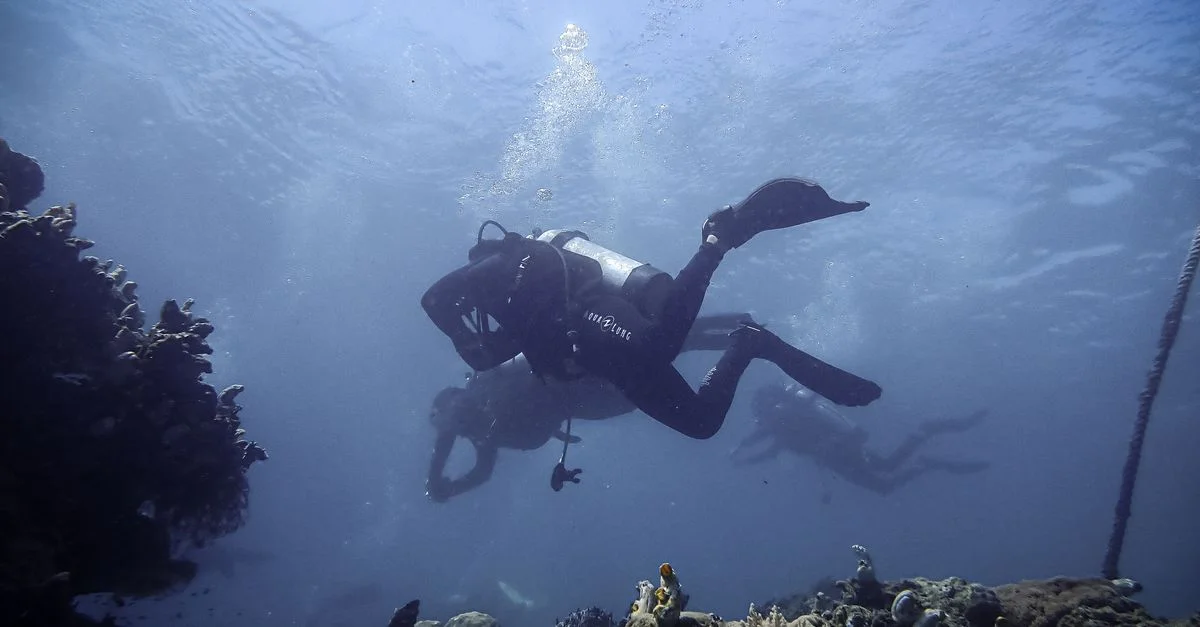 Groupe de plongeurs explorant les récifs coralliens vibrants de Sulawesi Selatan, en Indonésie.