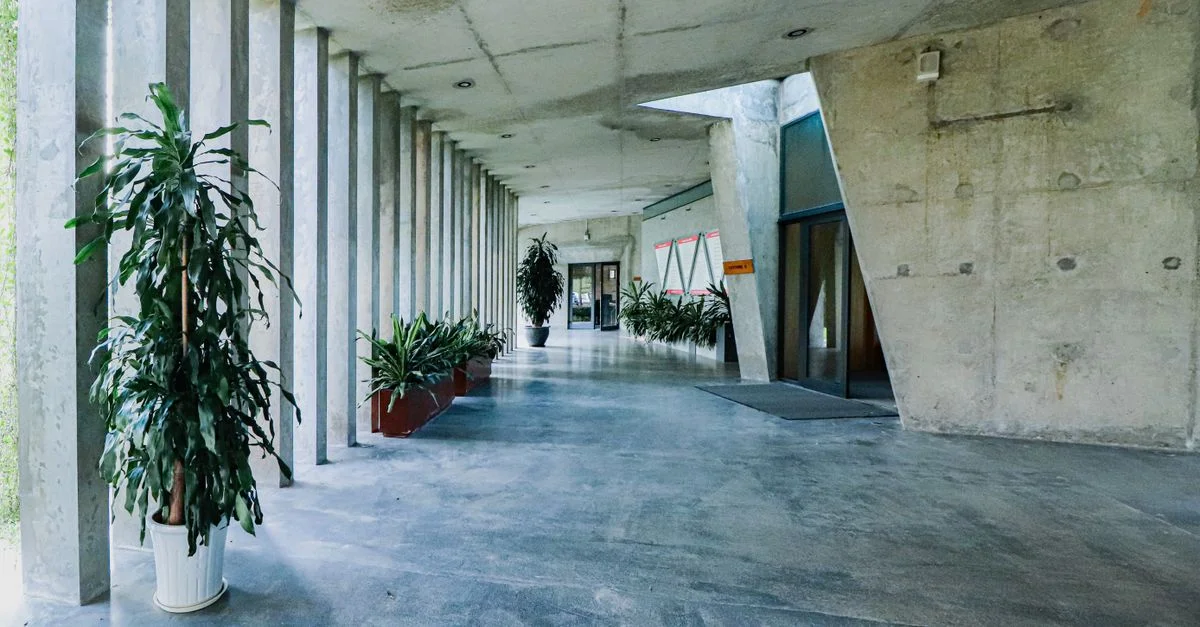 Hall lumineux en béton avec des plantes d'intérieur et une architecture géométrique, idéal pour le design de bureaux modernes.